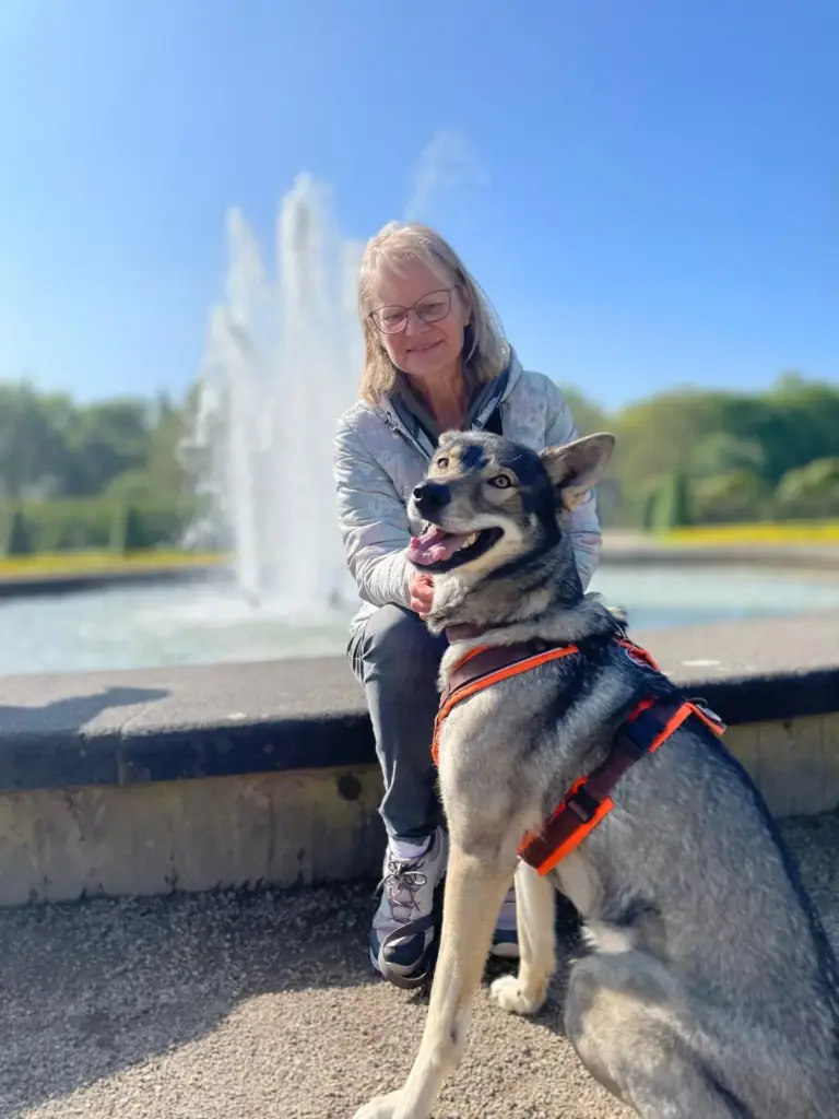 Úlfavera Tamaskan Wolfhund Wolfalike Kaya