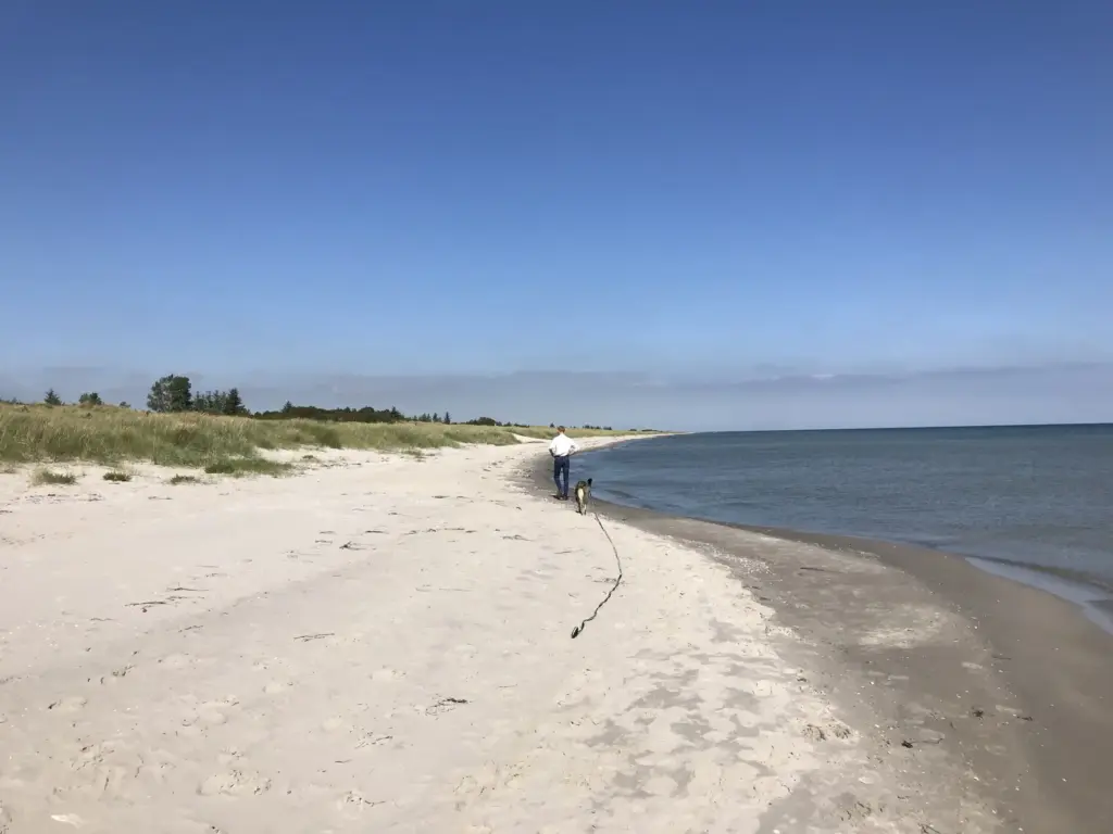 Úlfavera Tamaskan Wolfhund Wolfalike Kaya