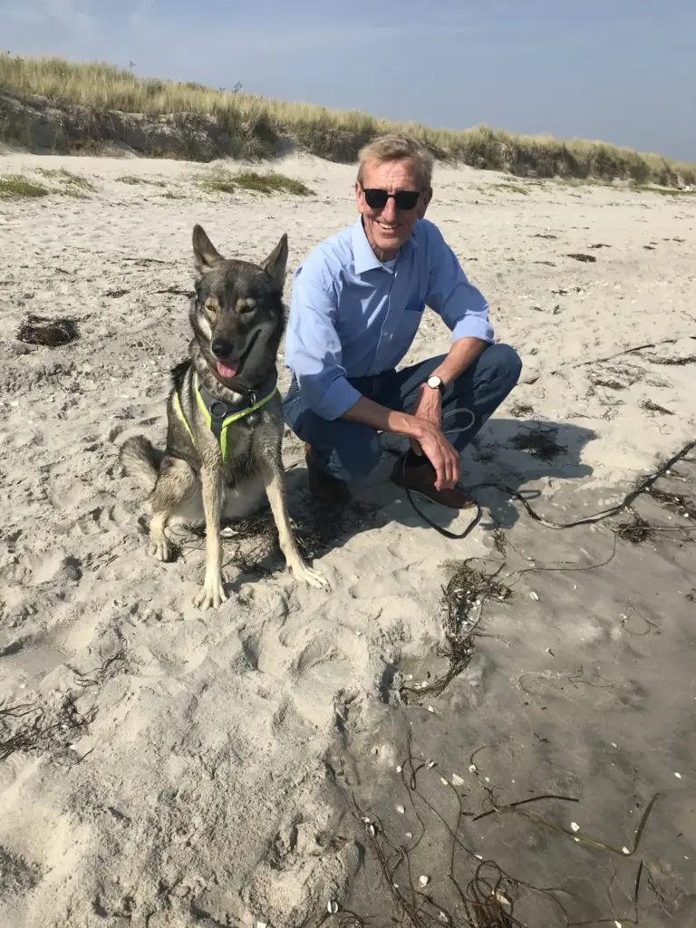 IMG_6142 Úlfavera Tamaskan Wolfhund Wolfalike Kaya